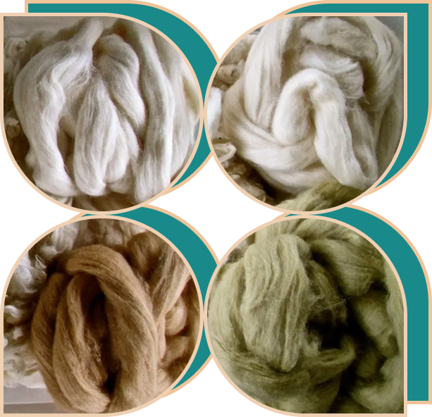 تجربه‌های درمانی با محصولات پشمی