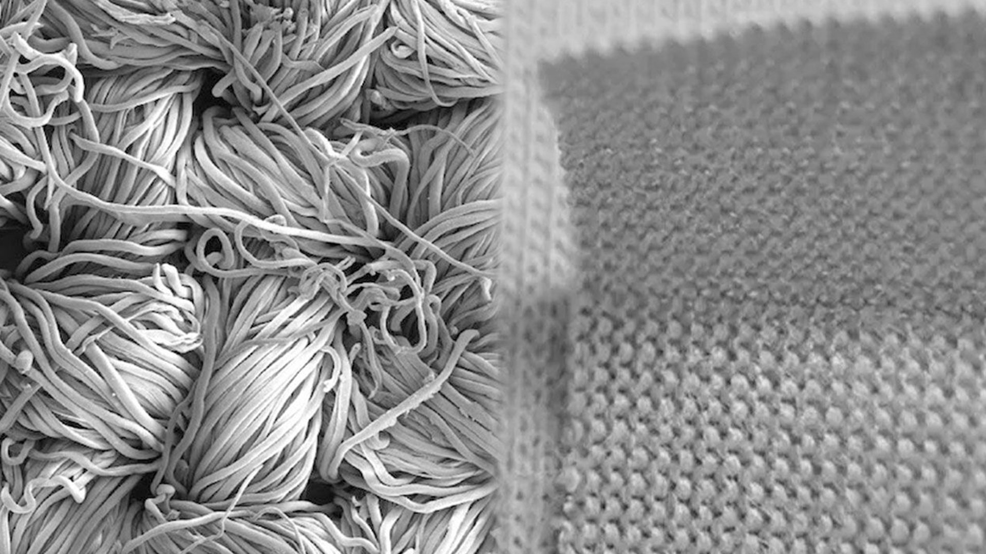 خواص ضدباکتریایی پشم