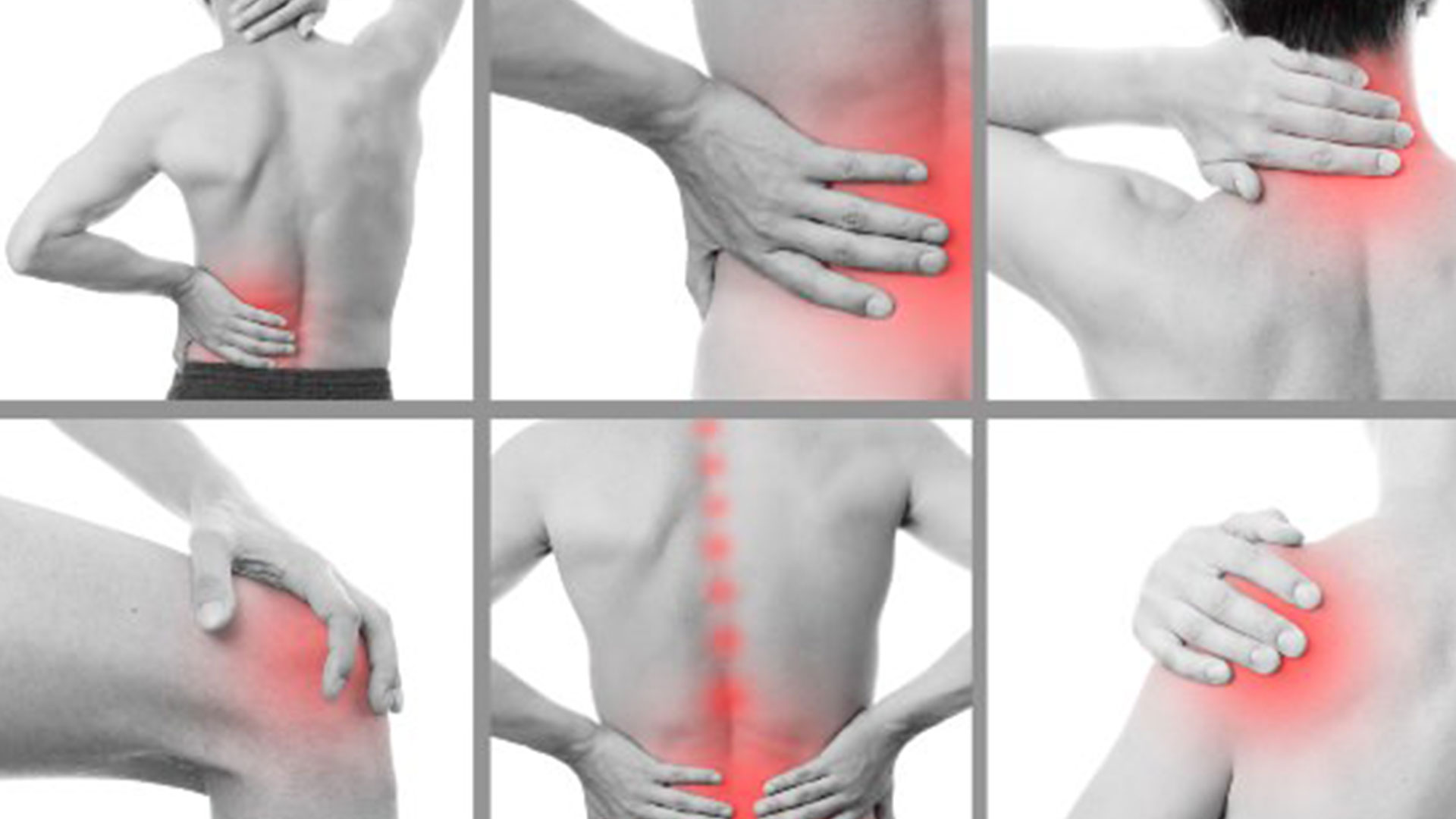 پشم، درمانگر دردهای عضلانی